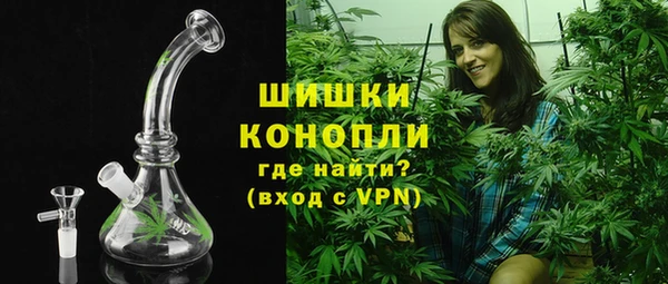 ПСИЛОЦИБИНОВЫЕ ГРИБЫ Лиски