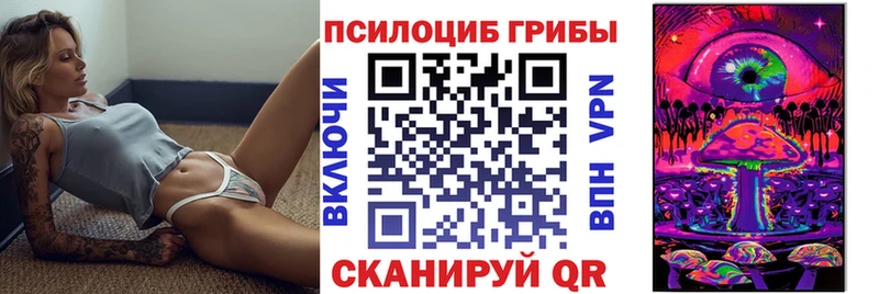Псилоцибиновые грибы Psilocybe  Нытва 